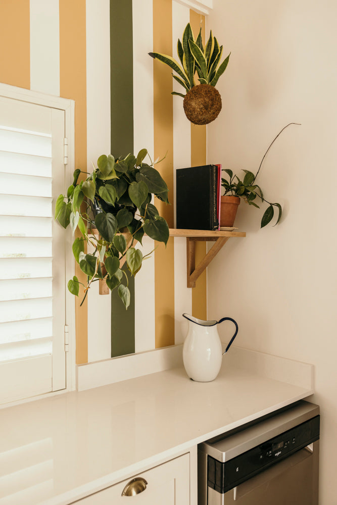 Gallery Image 12